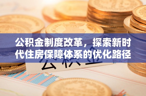 龙沙公积金制度改革，探索新时代住房保障体系的优化路径