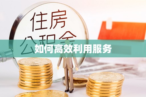 龙沙如何高效利用服务