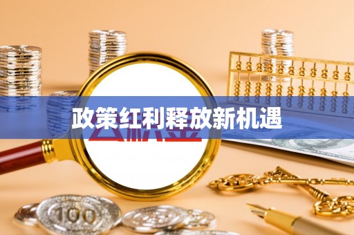 龙沙政策红利释放新机遇