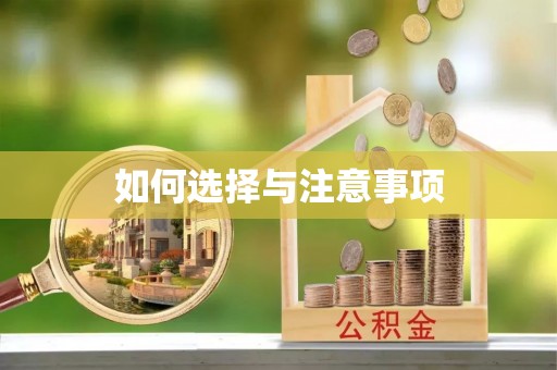 龙沙如何选择与注意事项