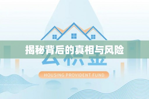 龙沙揭秘背后的真相与风险
