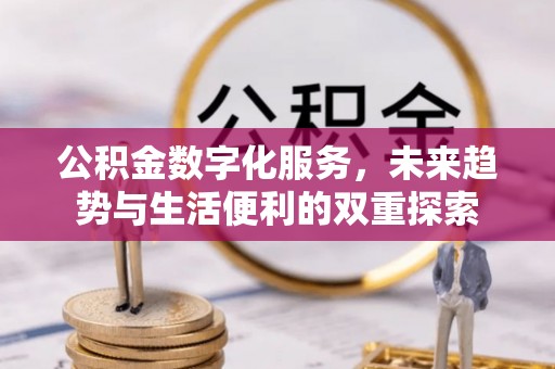 龙沙公积金数字化服务，未来趋势与生活便利的双重探索