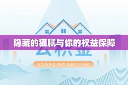 龙沙隐藏的猫腻与你的权益保障