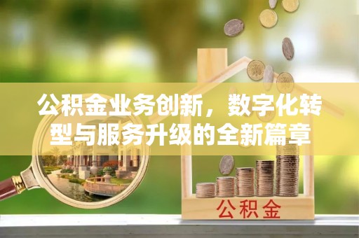 龙沙公积金业务创新，数字化转型与服务升级的全新篇章