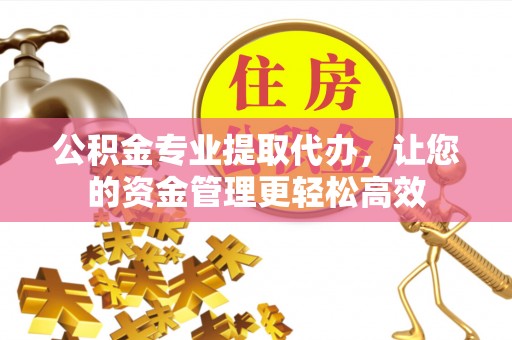 龙沙公积金专业提取代办，让您的资金管理更轻松高效