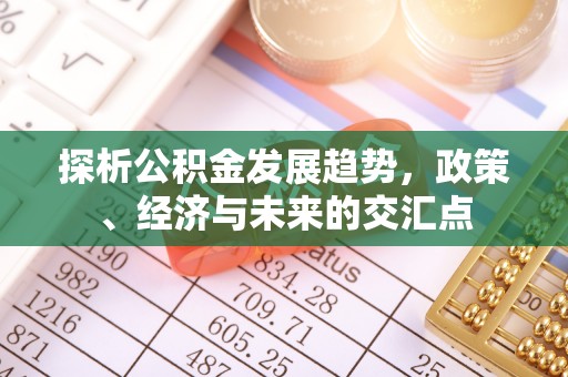 龙沙探析公积金发展趋势，政策、经济与未来的交汇点