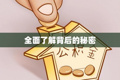 龙沙全面了解背后的秘密
