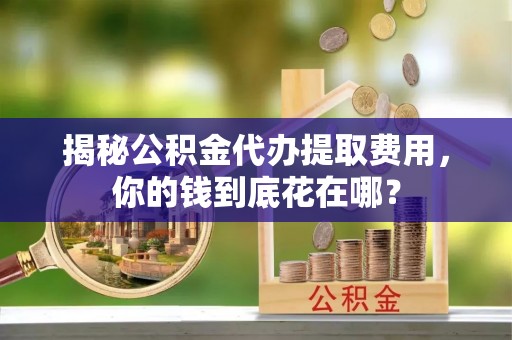 龙沙揭秘公积金代办提取费用，你的钱到底花在哪？