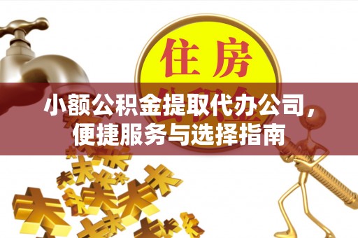 龙沙小额公积金提取代办公司，便捷服务与选择指南
