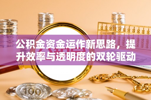 龙沙公积金资金运作新思路，提升效率与透明度的双轮驱动