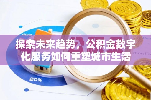 龙沙探索未来趋势，公积金数字化服务如何重塑城市生活