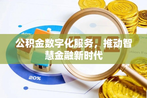 龙沙公积金数字化服务，推动智慧金融新时代