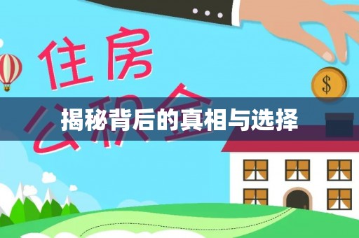 龙沙揭秘背后的真相与选择