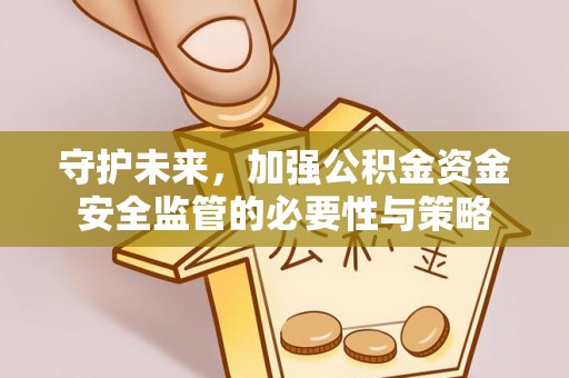 龙沙守护未来，加强公积金资金安全监管的必要性与策略