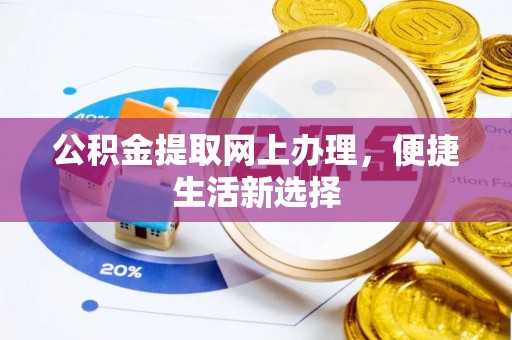 龙沙公积金提取网上办理，便捷生活新选择
