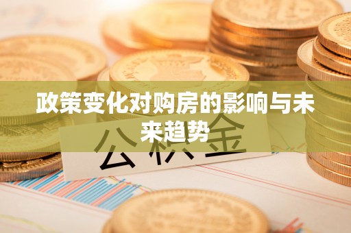 龙沙政策变化对购房的影响与未来趋势