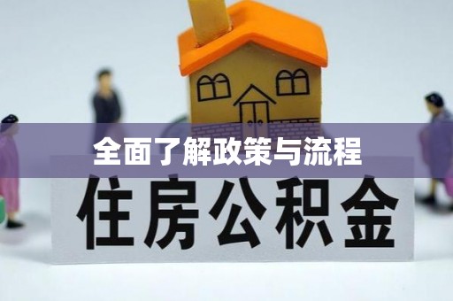 龙沙全面了解政策与流程