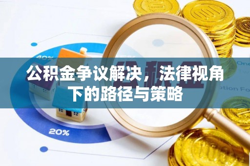 龙沙公积金争议解决，法律视角下的路径与策略