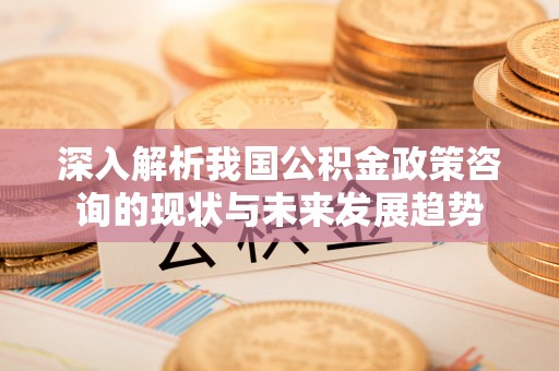 龙沙深入解析我国公积金政策咨询的现状与未来发展趋势