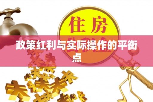 龙沙政策红利与实际操作的平衡点
