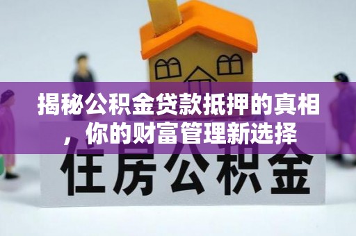 龙沙揭秘公积金贷款抵押的真相，你的财富管理新选择