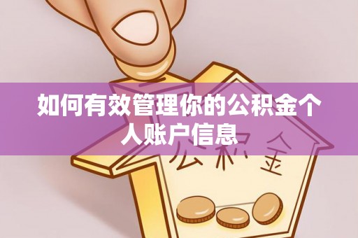 龙沙如何有效管理你的公积金个人账户信息