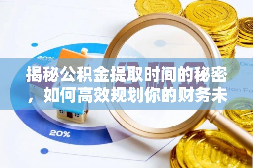 龙沙揭秘公积金提取时间的秘密，如何高效规划你的财务未来