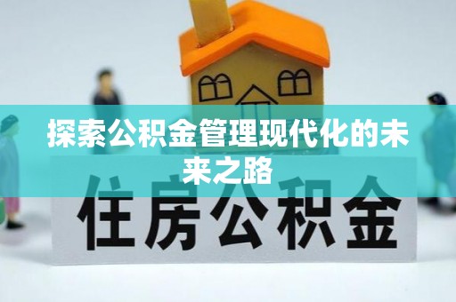 龙沙探索公积金管理现代化的未来之路