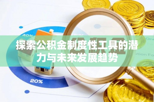 龙沙探索公积金制度性工具的潜力与未来发展趋势