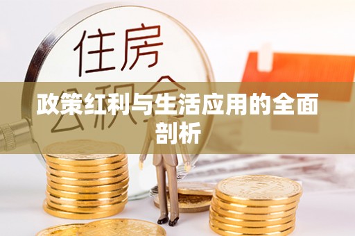 龙沙政策红利与生活应用的全面剖析