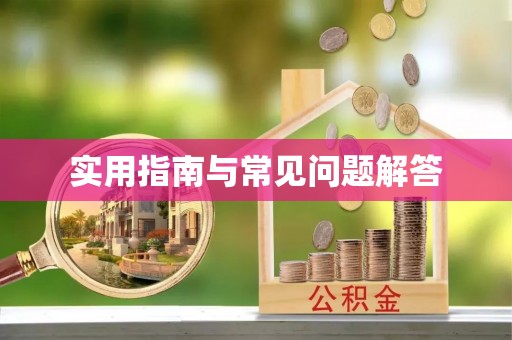 龙沙实用指南与常见问题解答