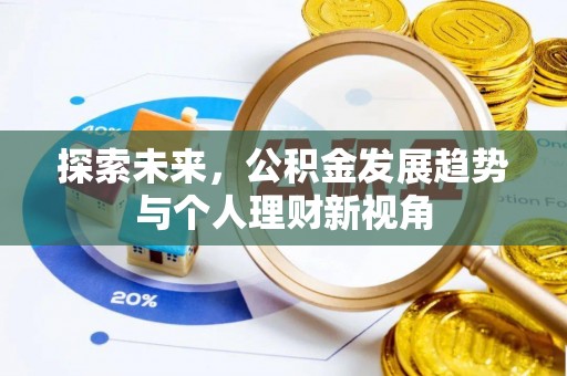 龙沙探索未来，公积金发展趋势与个人理财新视角