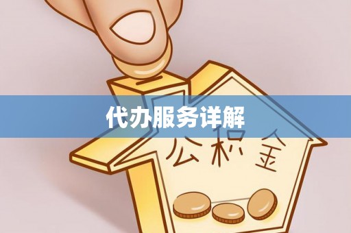 龙沙代办服务详解