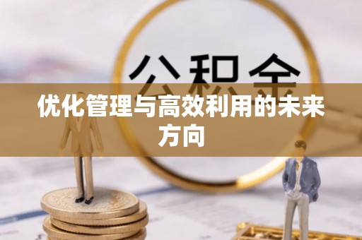 龙沙优化管理与高效利用的未来方向
