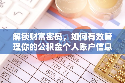 龙沙解锁财富密码，如何有效管理你的公积金个人账户信息