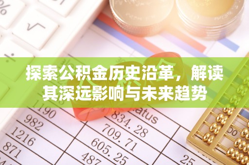 龙沙探索公积金历史沿革，解读其深远影响与未来趋势