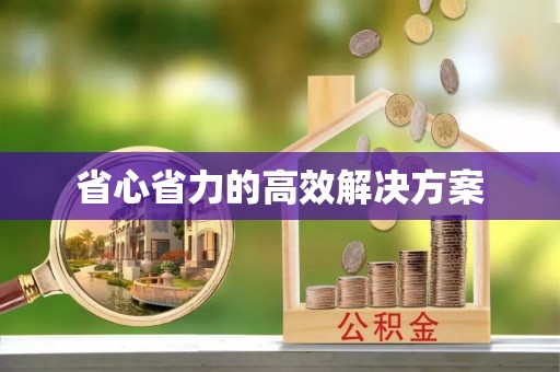龙沙省心省力的高效解决方案