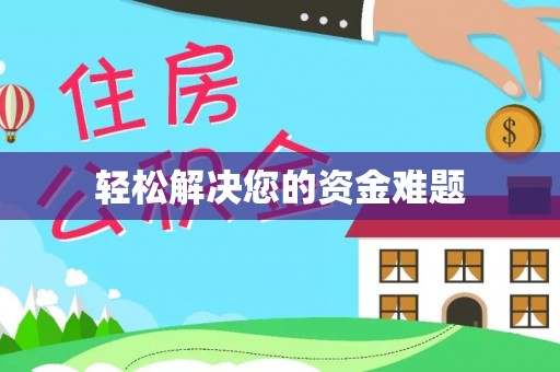 龙沙轻松解决您的资金难题