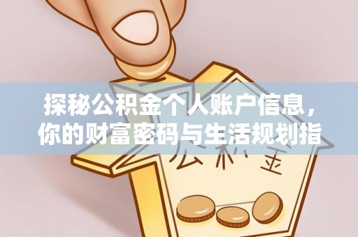 龙沙探秘公积金个人账户信息，你的财富密码与生活规划指南