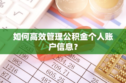 龙沙如何高效管理公积金个人账户信息？
