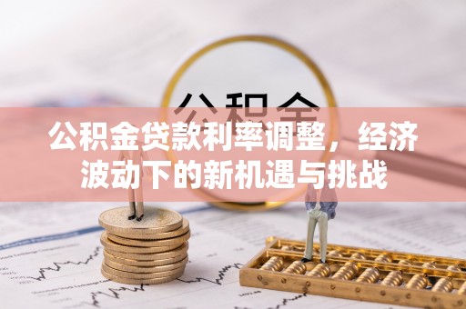 龙沙公积金贷款利率调整，经济波动下的新机遇与挑战