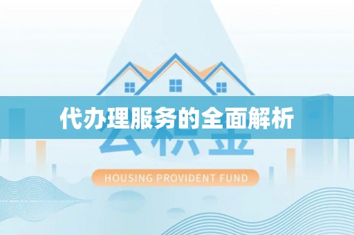 龙沙代办理服务的全面解析