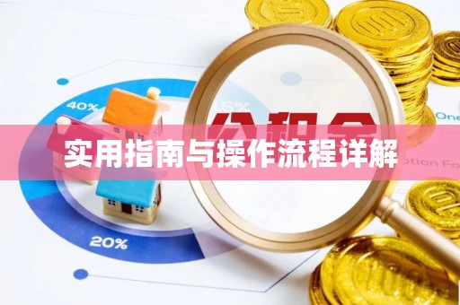 龙沙实用指南与操作流程详解