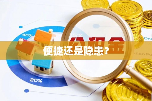 龙沙便捷还是隐患？