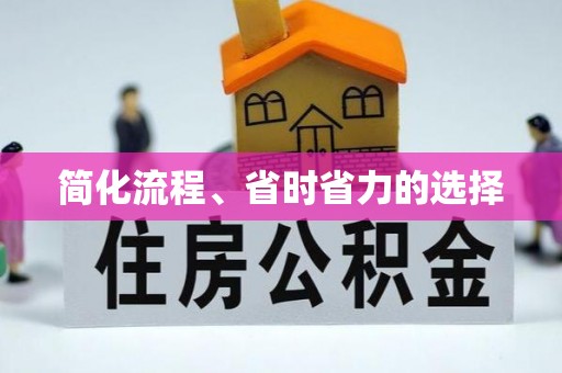 龙沙简化流程、省时省力的选择