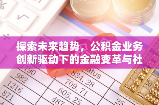 龙沙探索未来趋势，公积金业务创新驱动下的金融变革与社会价值