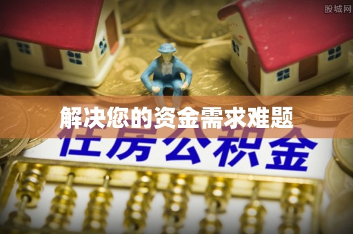龙沙解决您的资金需求难题