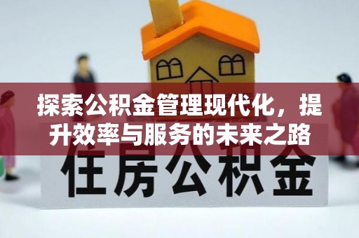 龙沙探索公积金管理现代化，提升效率与服务的未来之路