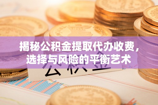 龙沙揭秘公积金提取代办收费，选择与风险的平衡艺术