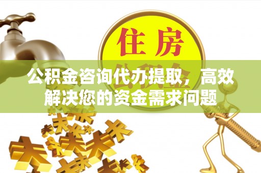 龙沙公积金咨询代办提取，高效解决您的资金需求问题